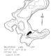 Mckinnon Lake - Pictou County Lake Maps