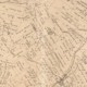 1879 Springville Map Section 16